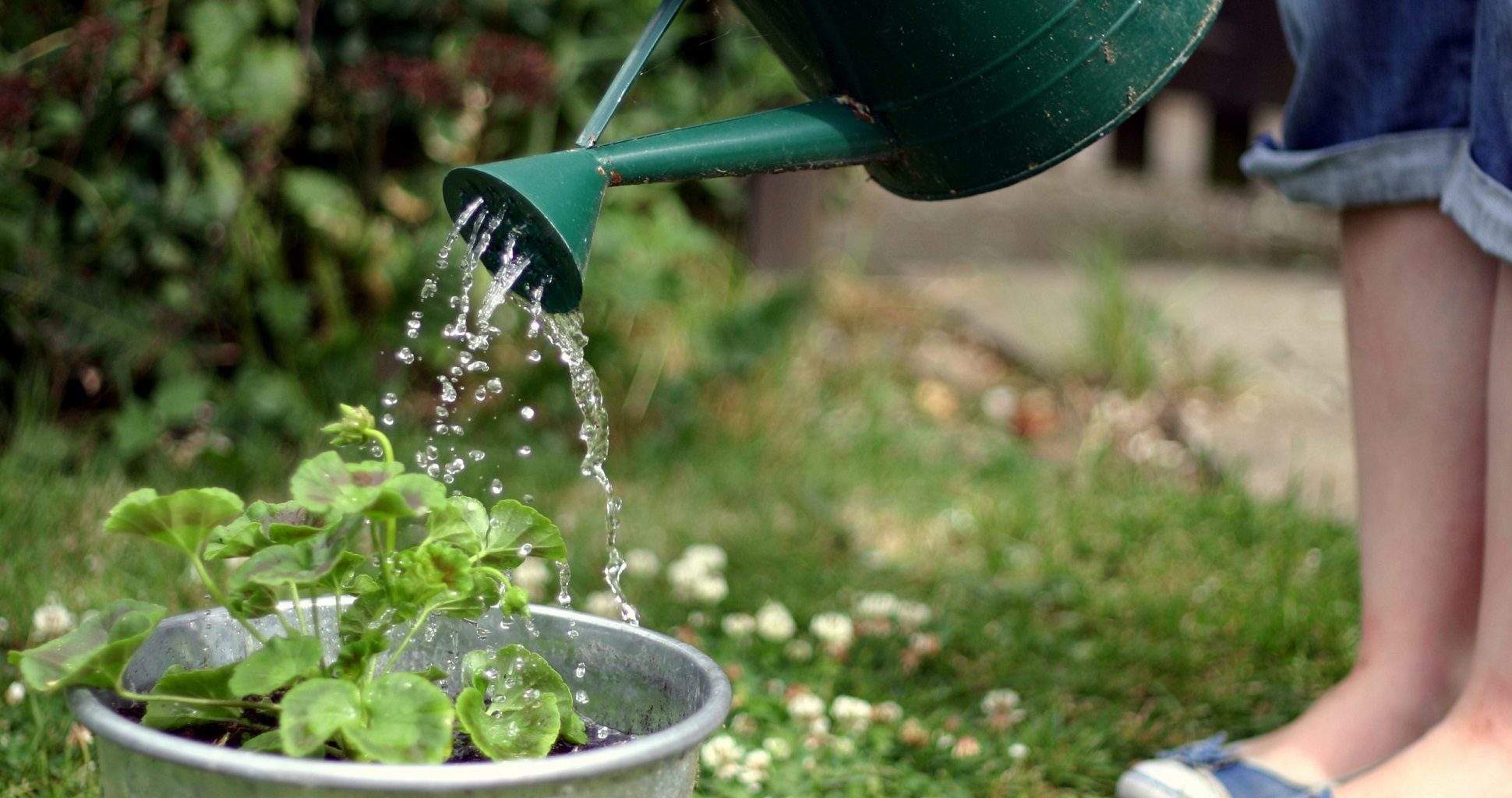 7 Irrigation System Types